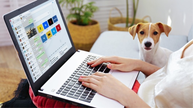 google home hub whatsapp